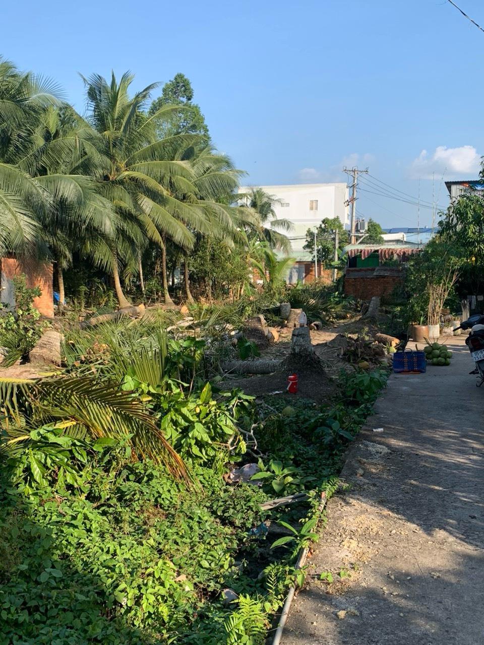 z5161830129944_0d47b9ef26b604c33641809e3077aba1