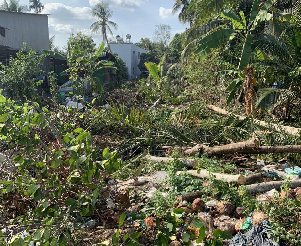 z5161830138002_8d34b9253d4311b1a74837f66a70c103