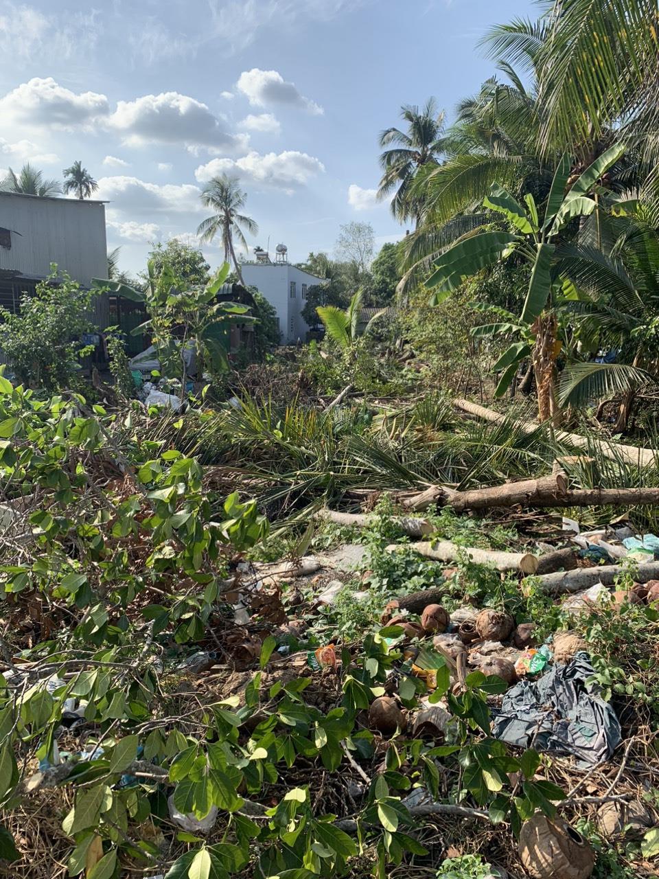 z5161830138002_8d34b9253d4311b1a74837f66a70c103