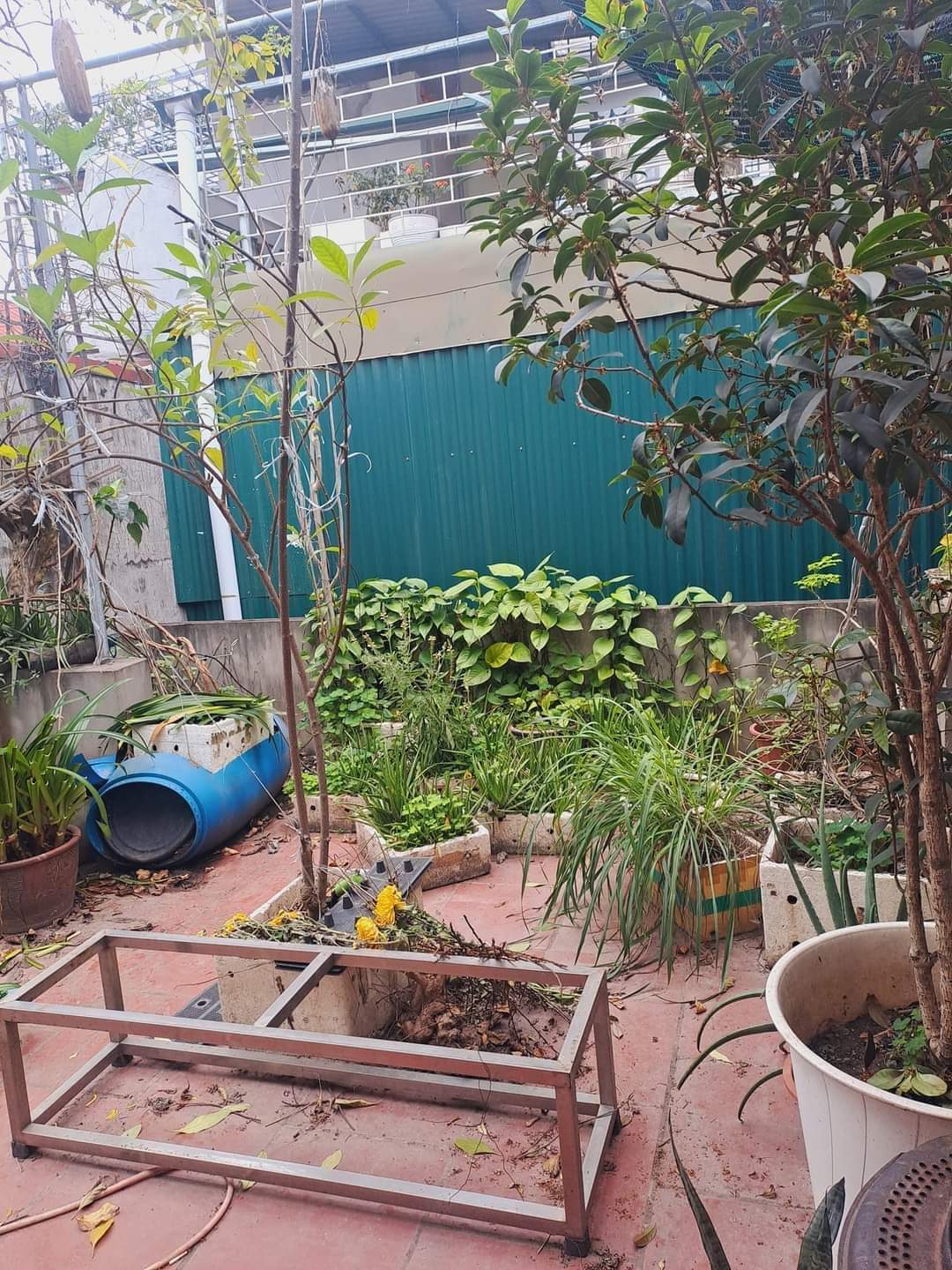 z5165636779926_e3d2815a857ea32d47b84e97787b3f88