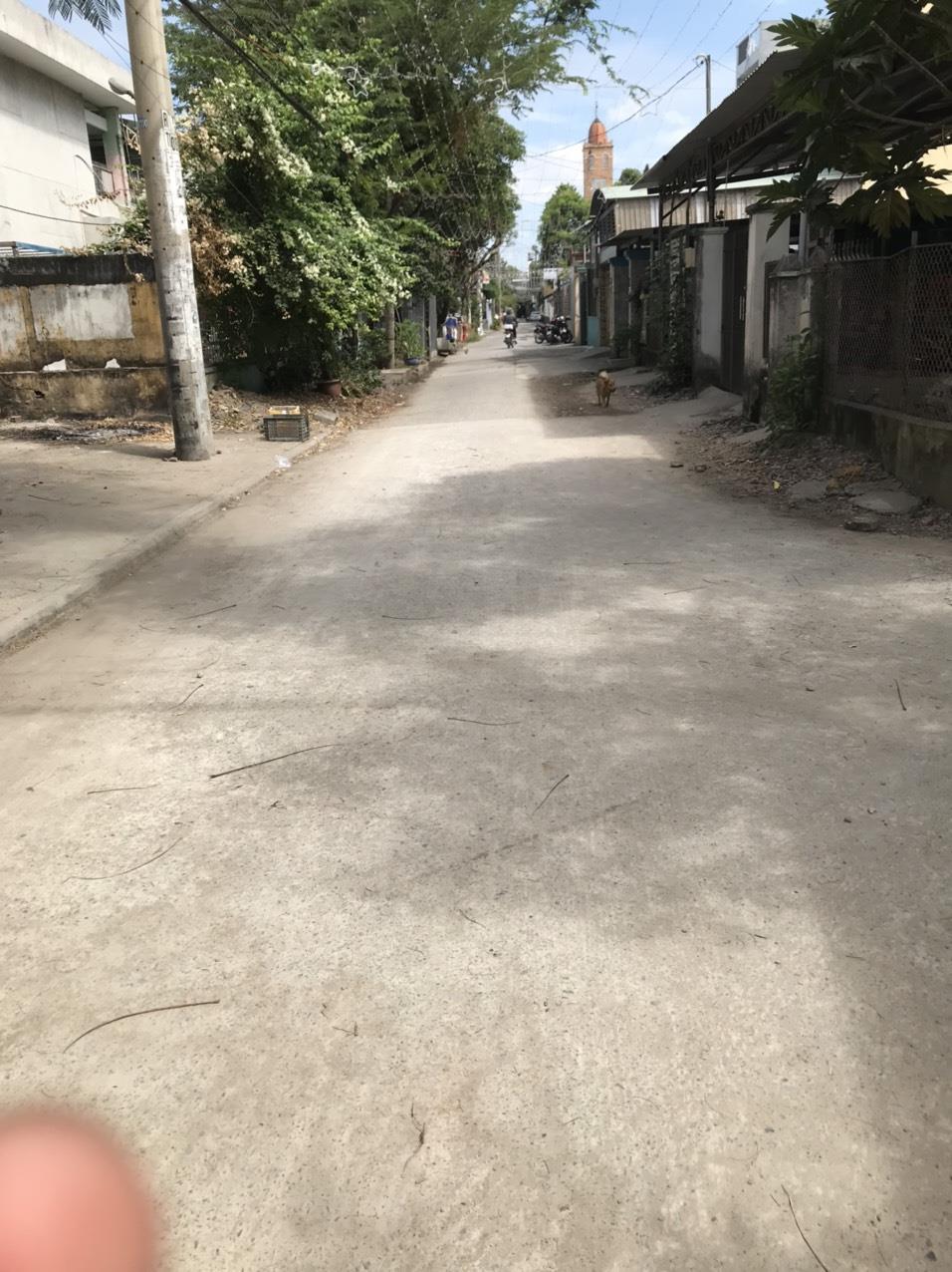 z5170029873187_5ef13190d0347143140d3a9e5fd21bec