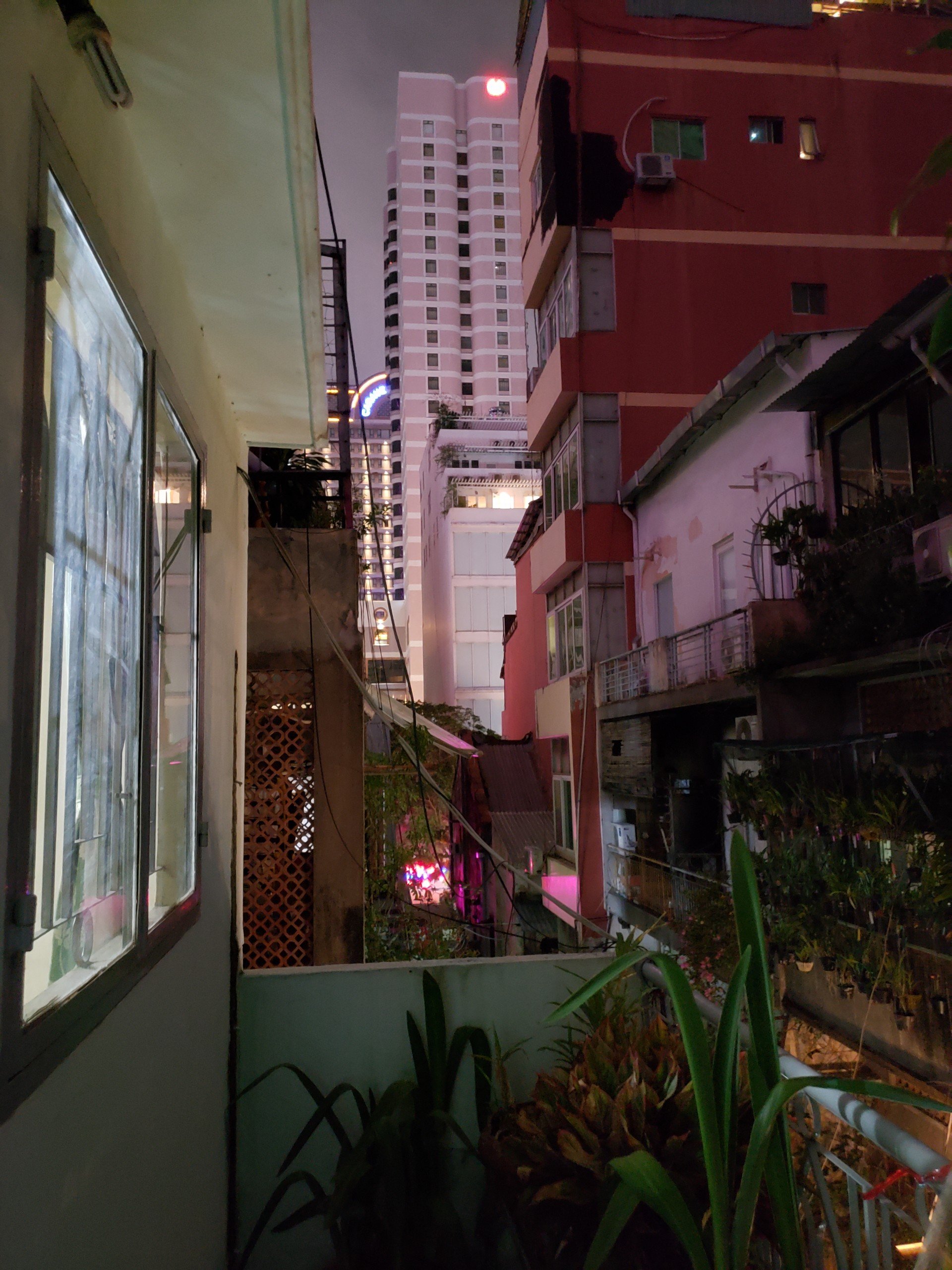 z5176283433773_f2cb7473deb40db9b142de4c55629141