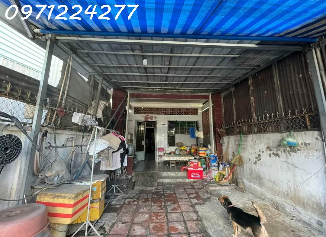 z5176456024937_605f7d8d224587774a302d36da261322