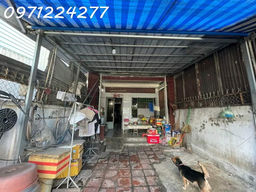 z5176456024937_605f7d8d224587774a302d36da261322