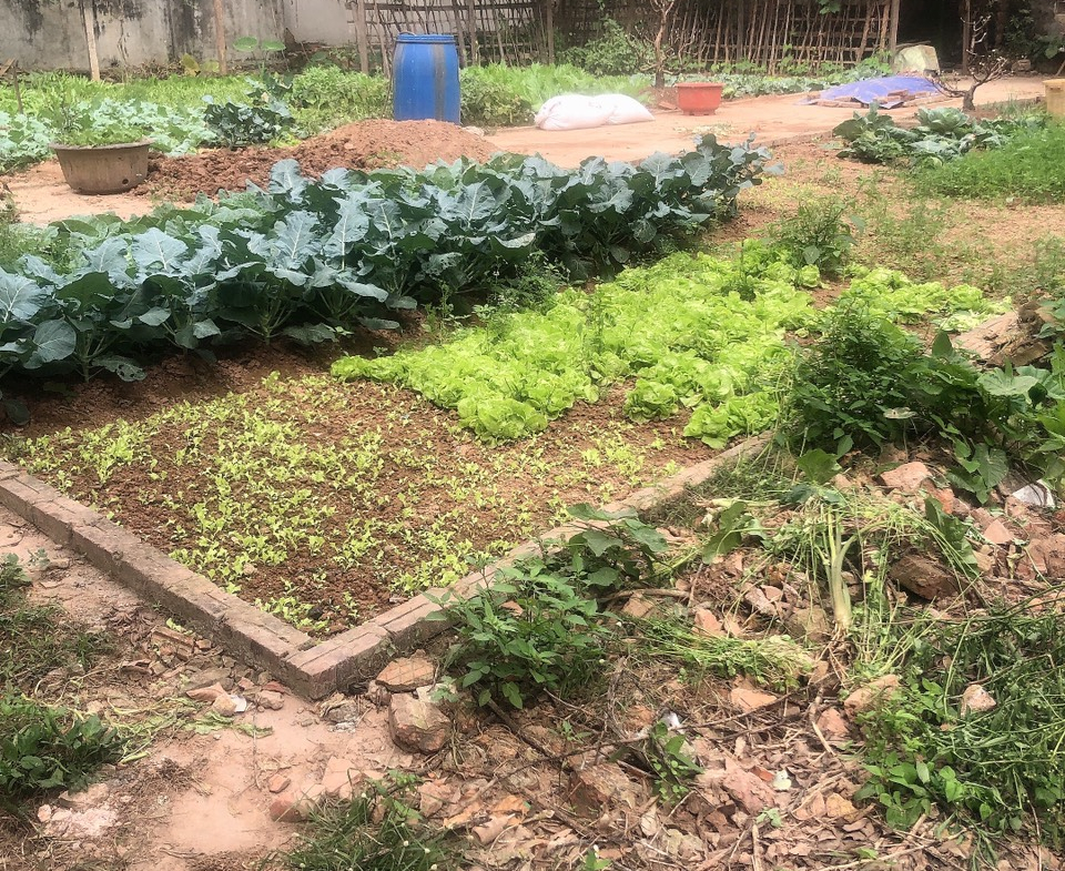 z5178235653439_2fc90330229c2dba3dc35381449f1cb2