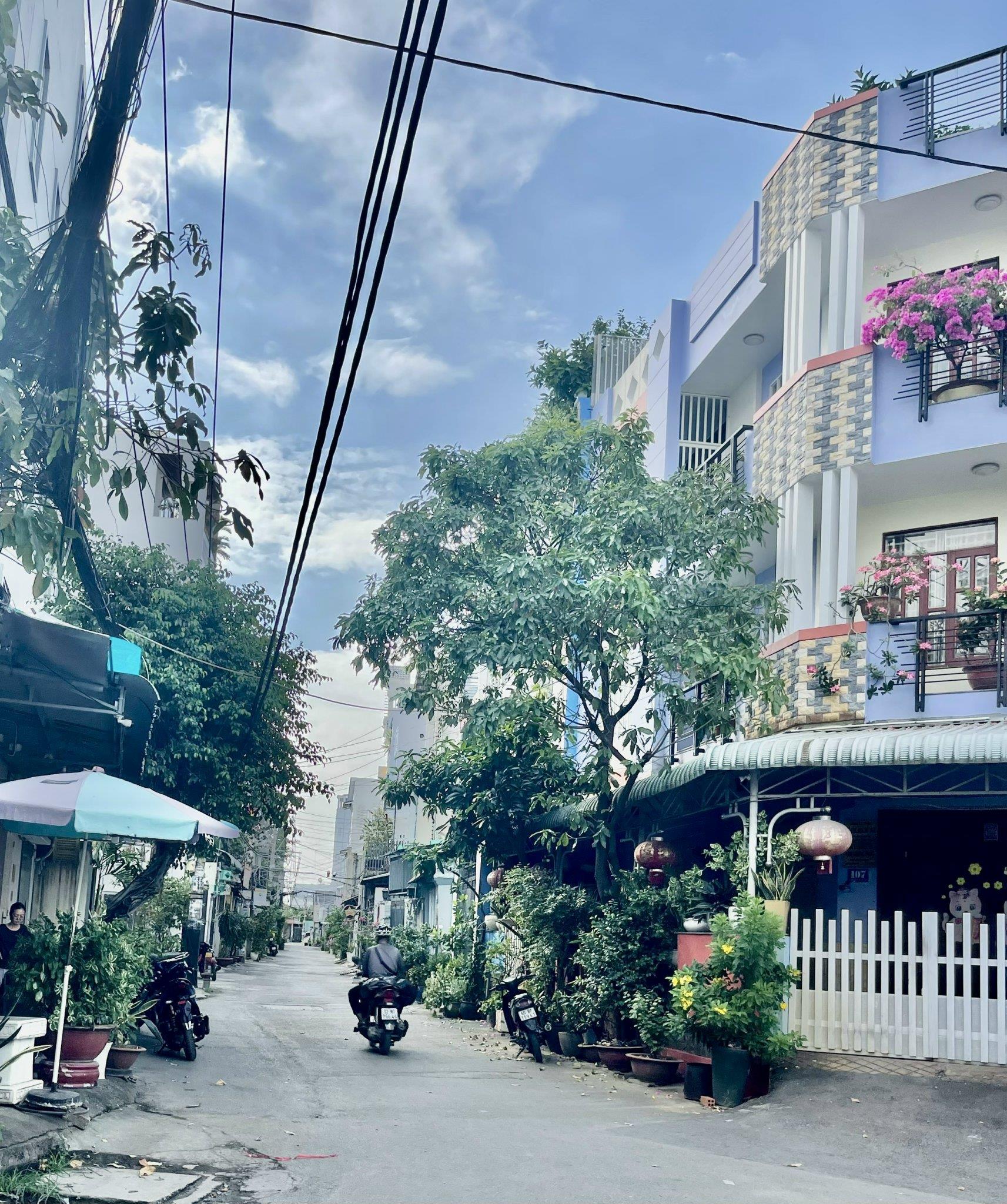 z5178967213982_acb08559f0fa0e87384fc6ddd56529d9