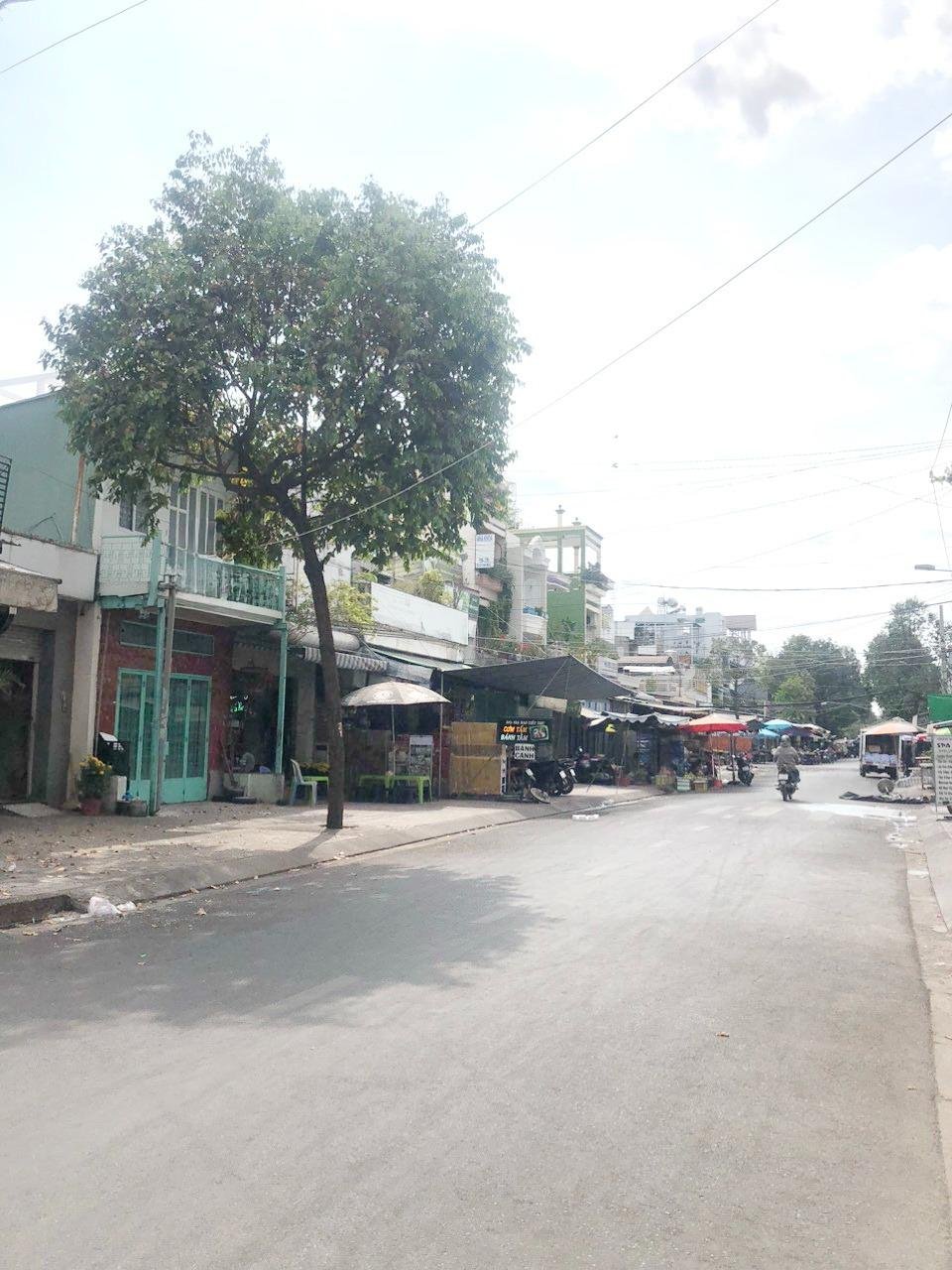 z5179567517653_6d91e523d212659740ea70bc355f4e52