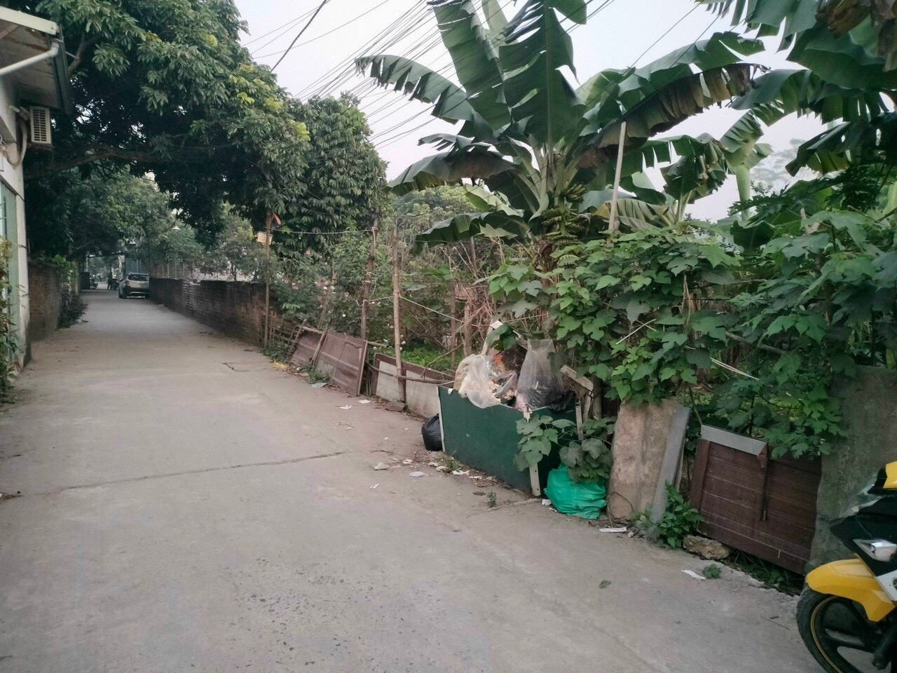 z5182130204883_6717369a3bba10332fd5309259c7d226