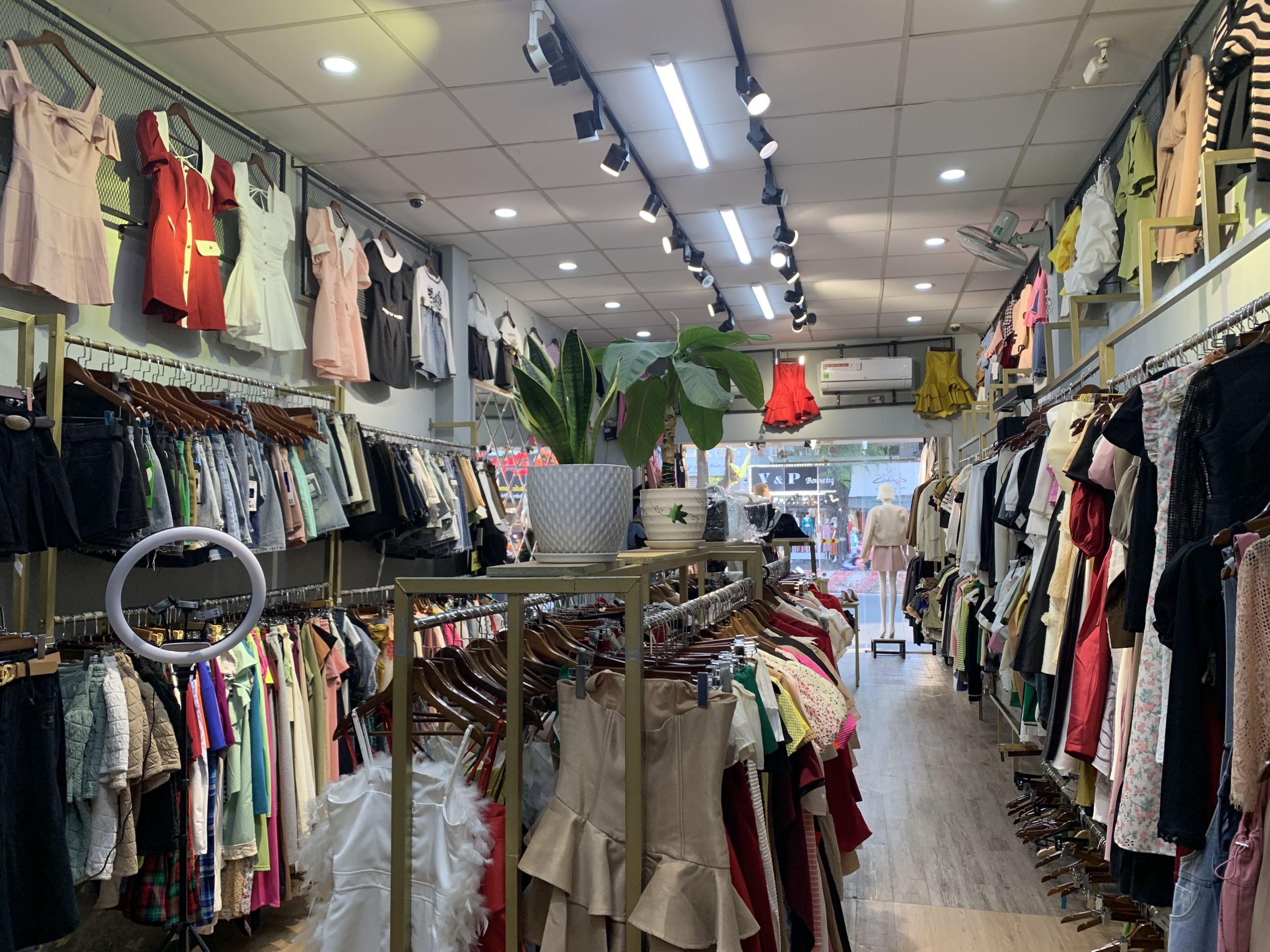 z5183355953557_e81eb074f7b6923b5b6ddfc6f4a14a76