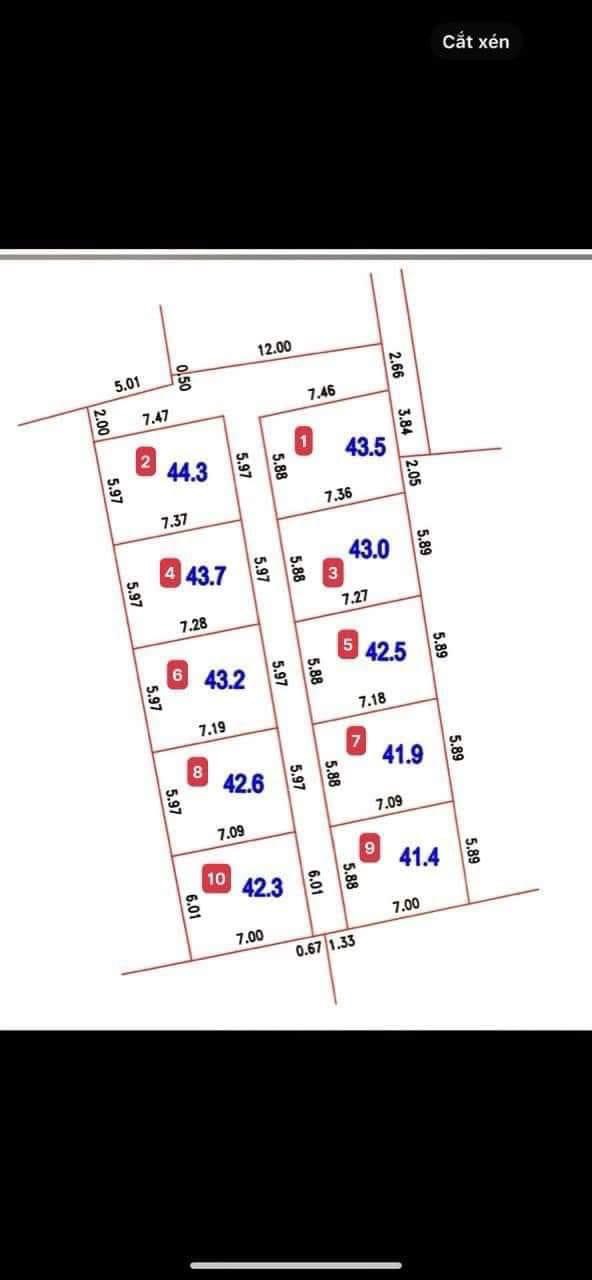 z5183385070919_91a96dbafa0bc2af1c50f378561bf66a