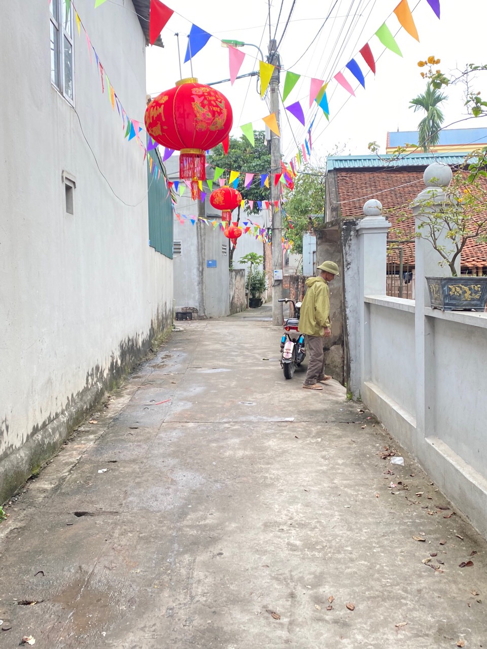 z5184576194526_d05322f0a6d7db844f9691caad3dc439