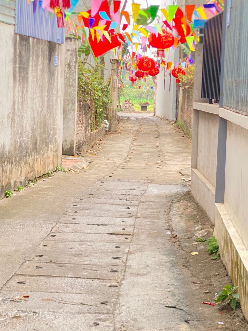 z5184576207346_812ebe0d42764e6dd9f214694f95b7c7