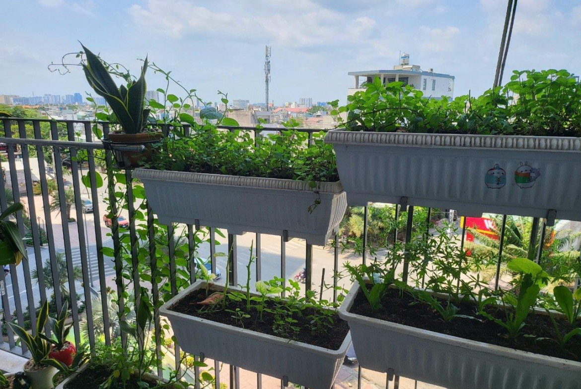 z5185763042739_e770f9e73120507458a11878da716ea9