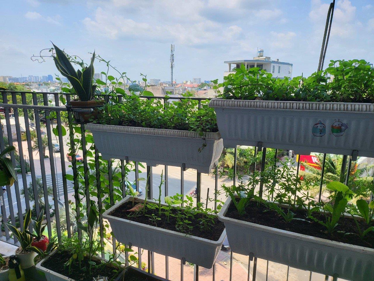 z5185763042739_e770f9e73120507458a11878da716ea9