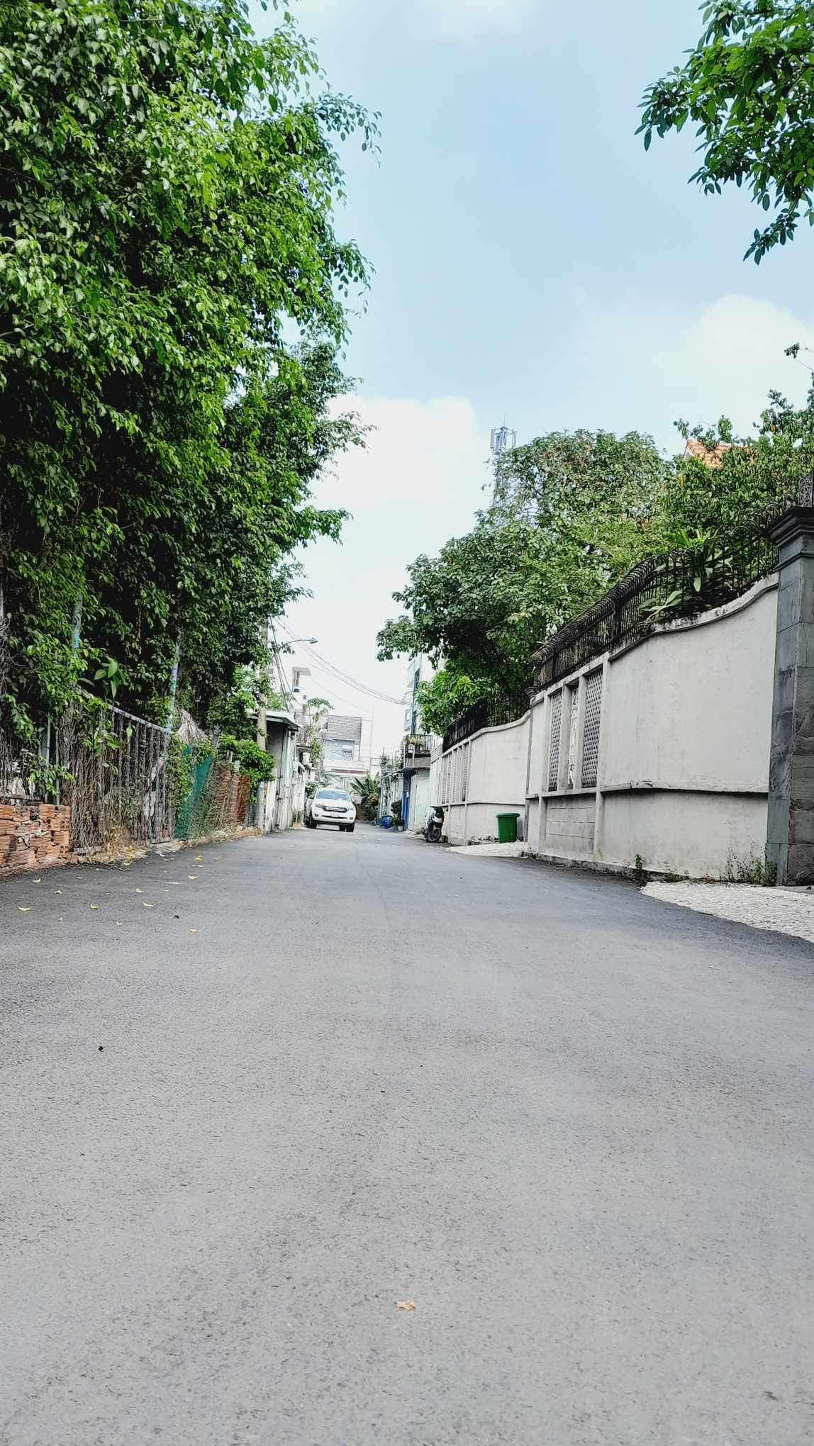 z5186594085908_427b42013134c7997fa39bfecc7dac13