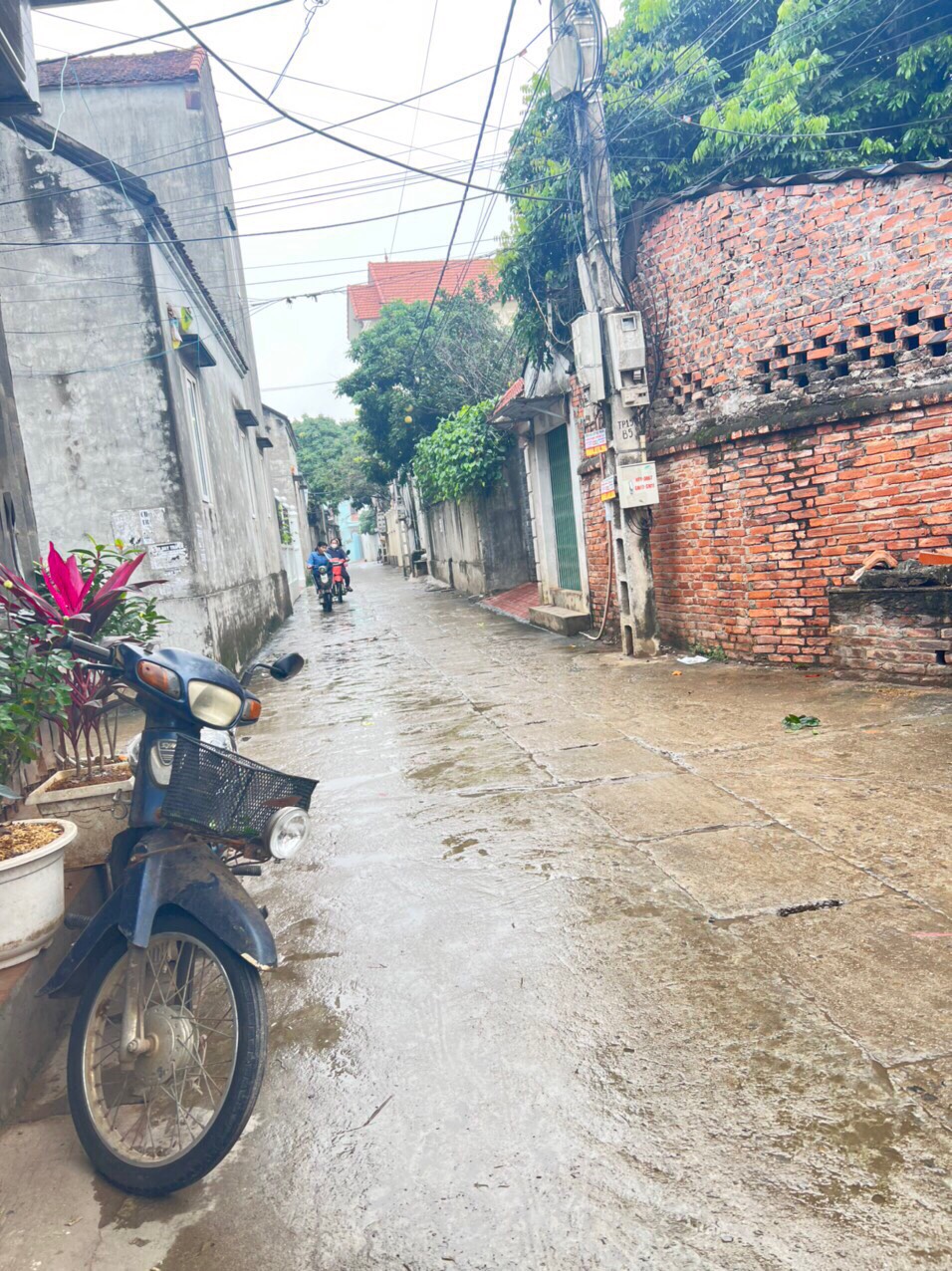 z5191416163504_71a56298e60c19499a5deba6e1f0b03c