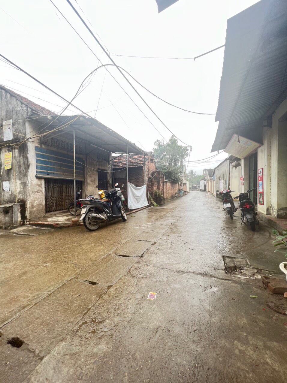 z5191416167095_86344263298f42139d1e8036b65489d0