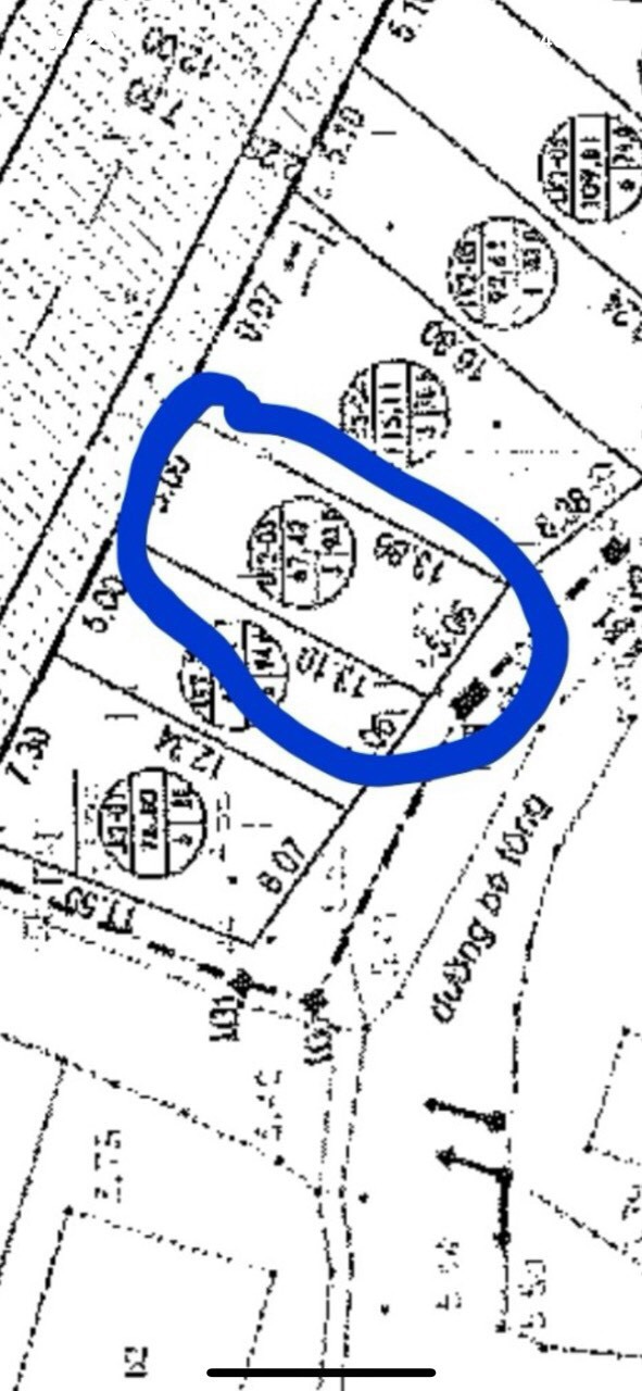 z5193012664368_74a95f933cdd07230d7190d98d51654d