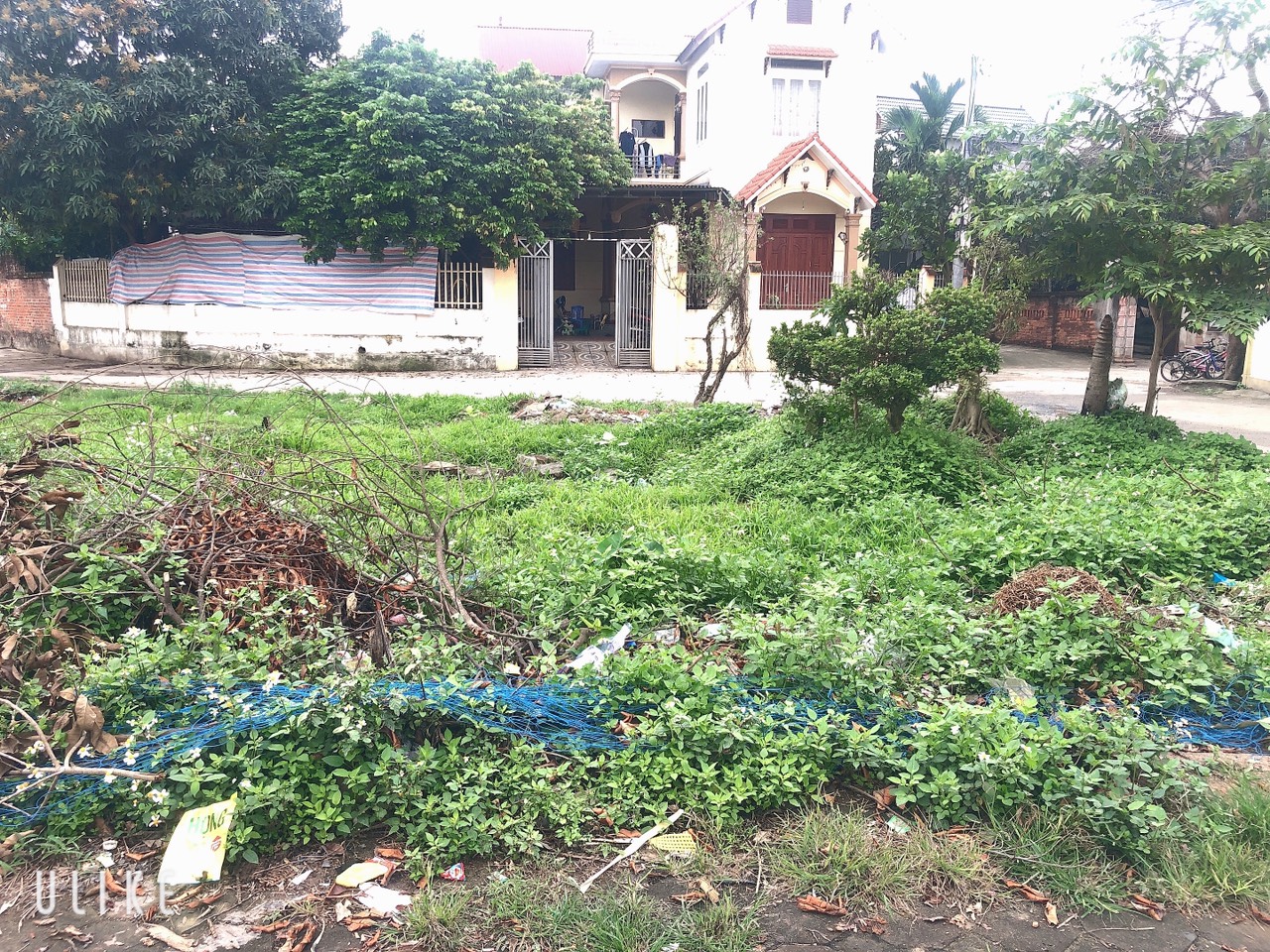 z5193012678219_cded52272ee363129136359090b9d17a