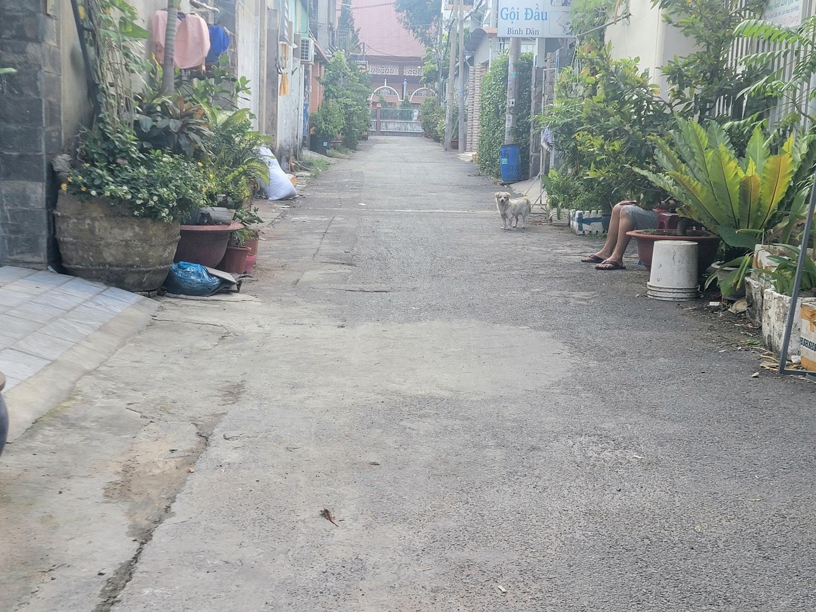 z5202670825370_c543110324f63555ad9a0108b77e6d8b