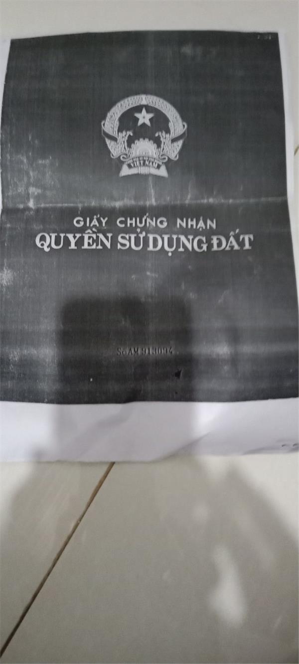 z5202864123019_d3b44b9bc8a0474a06e46cb1a76dfaab