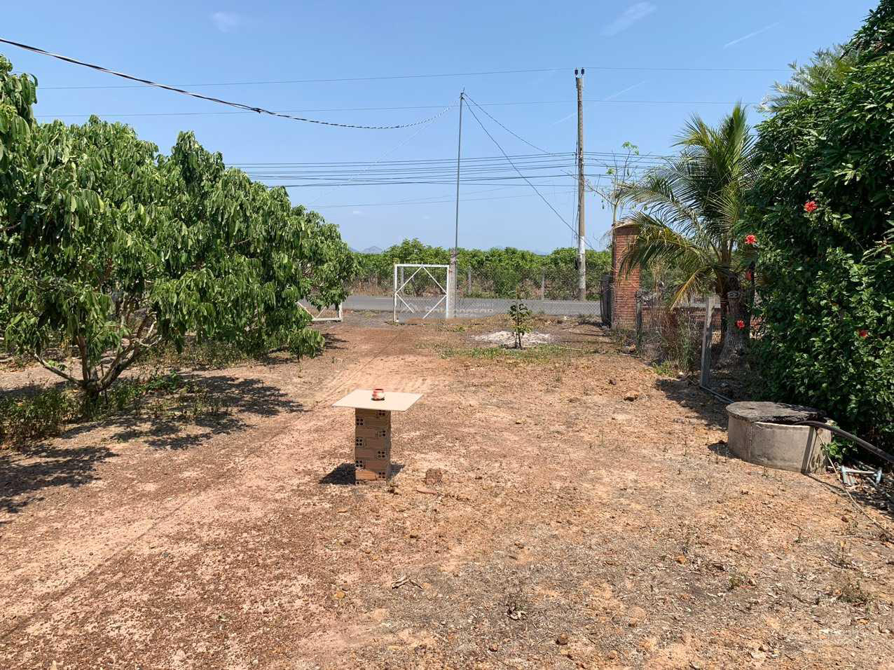 20240219210116-e1af_wm