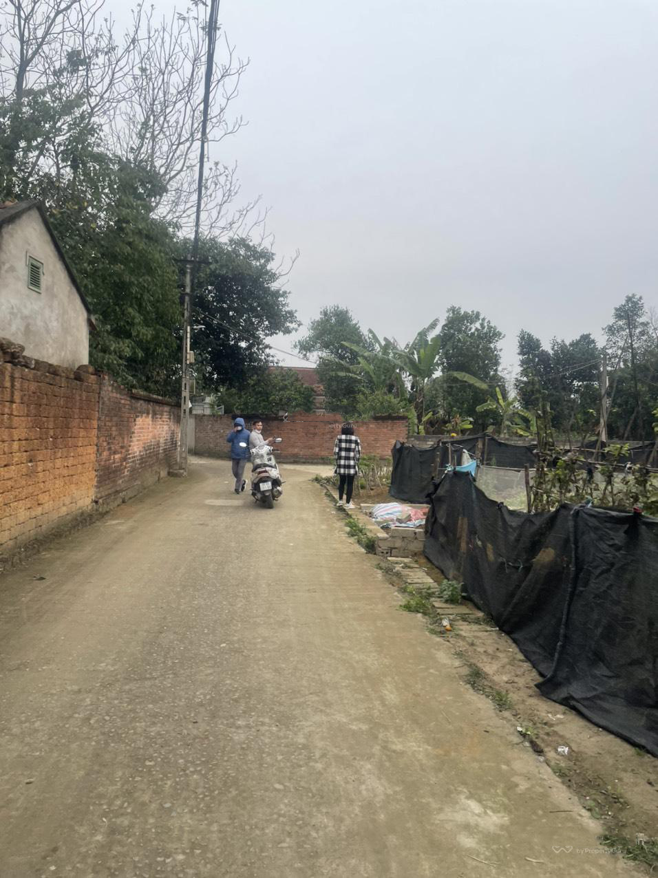 20240322105921-ad95_wm (1)