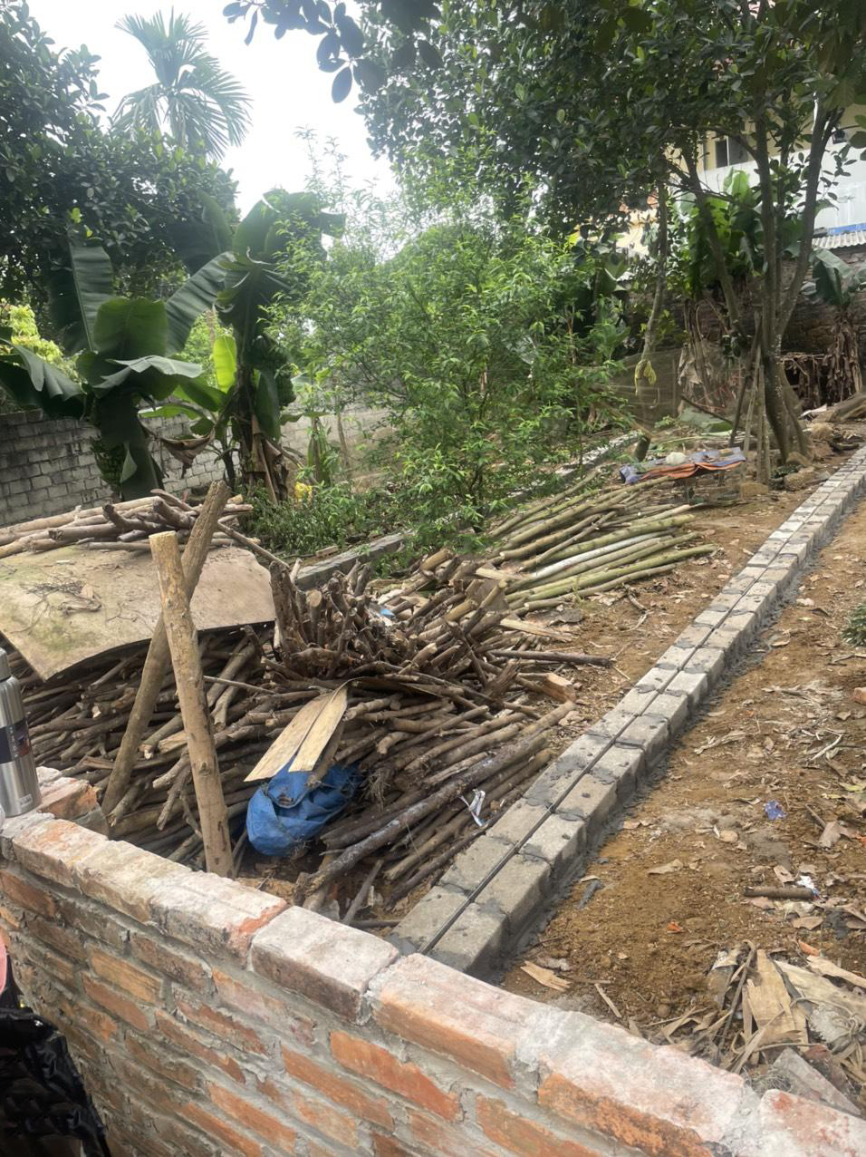 20240322105924-3208_wm