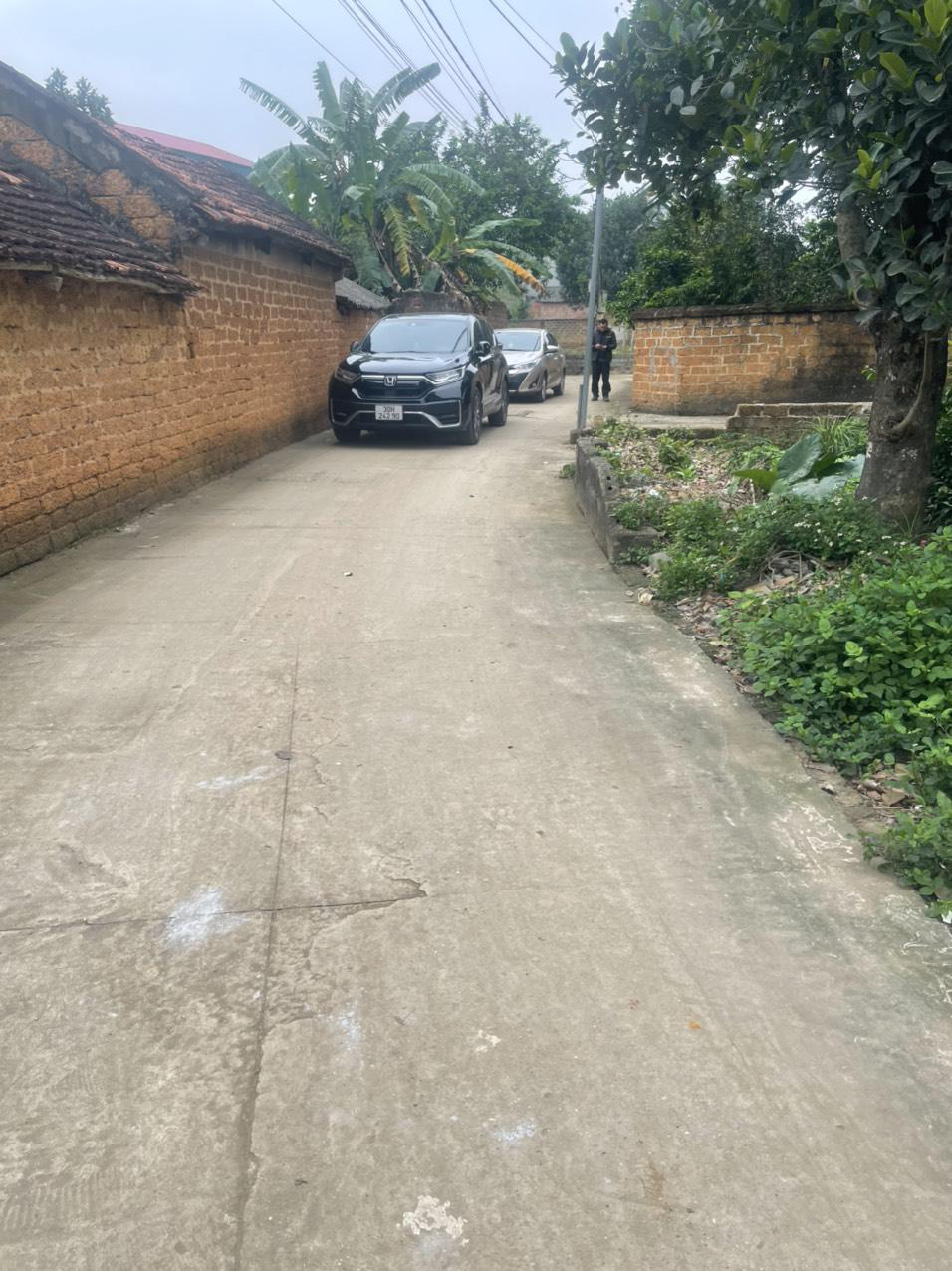 20240322105930-53e0_wm