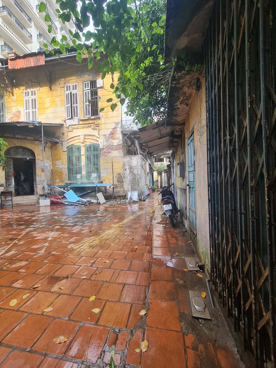 337296255_175914588586837_2355772644924959609_n