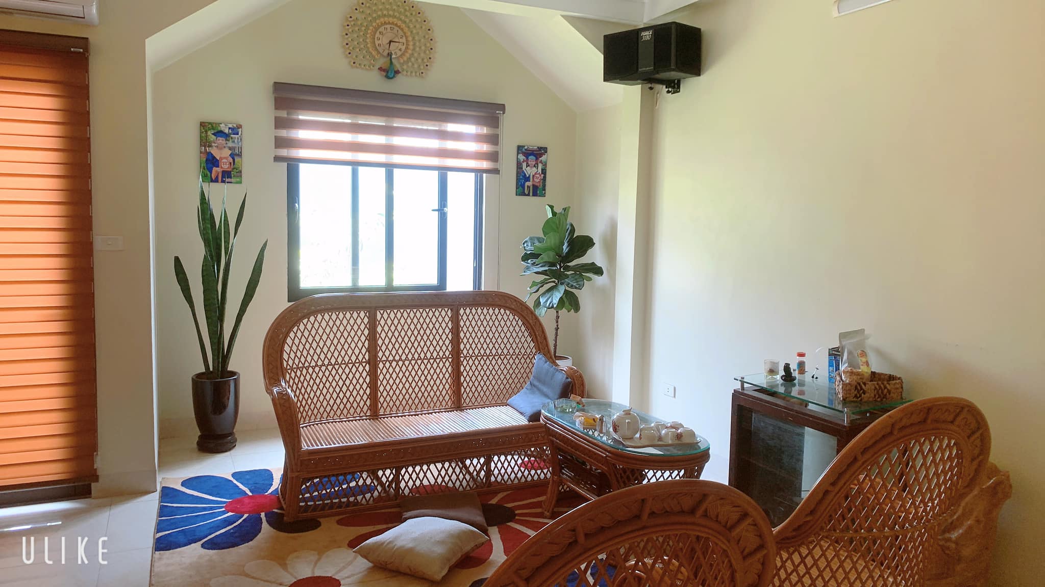 346079559_788964312596774_7108199742684655385_n