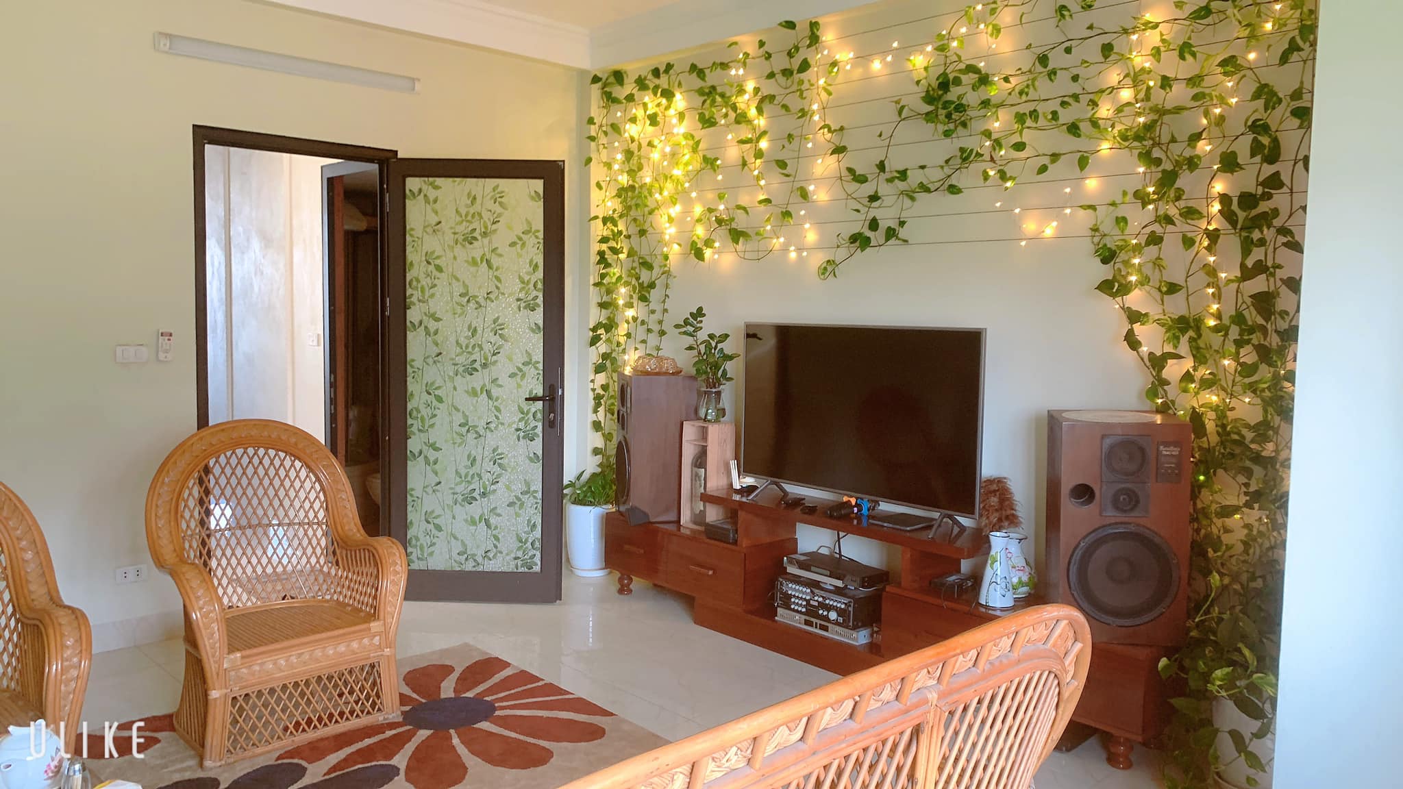 346088880_1905878733104744_5955941795504638377_n