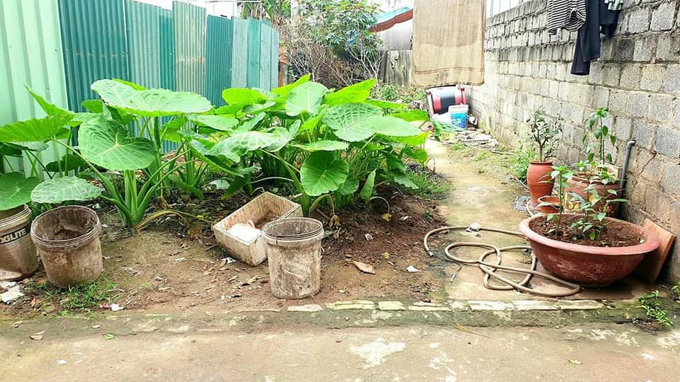 418580935_2912852088857392_3930707451855854537_n