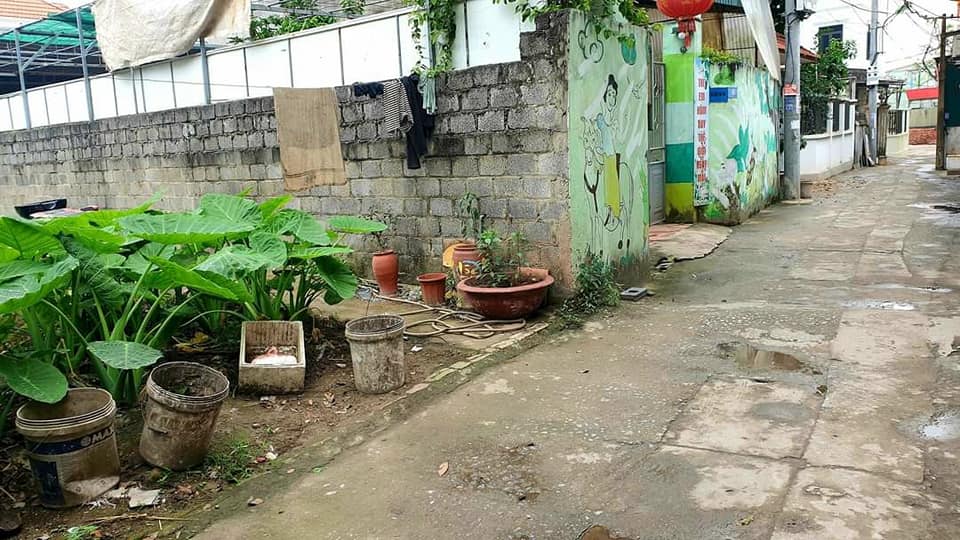 419007918_2912852165524051_6510666902396850527_n