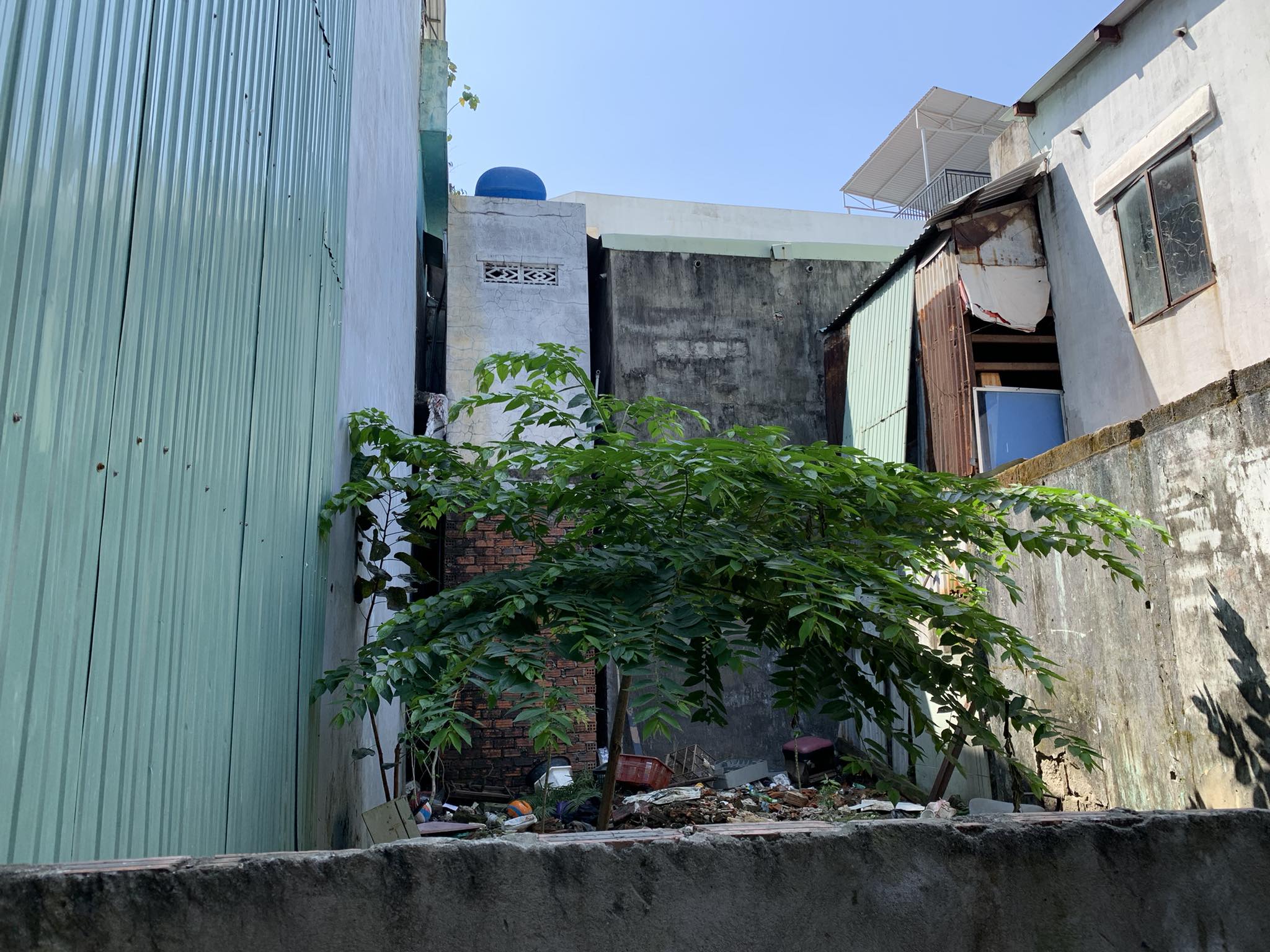 429609814_1167716421084659_3185146927604889589_n