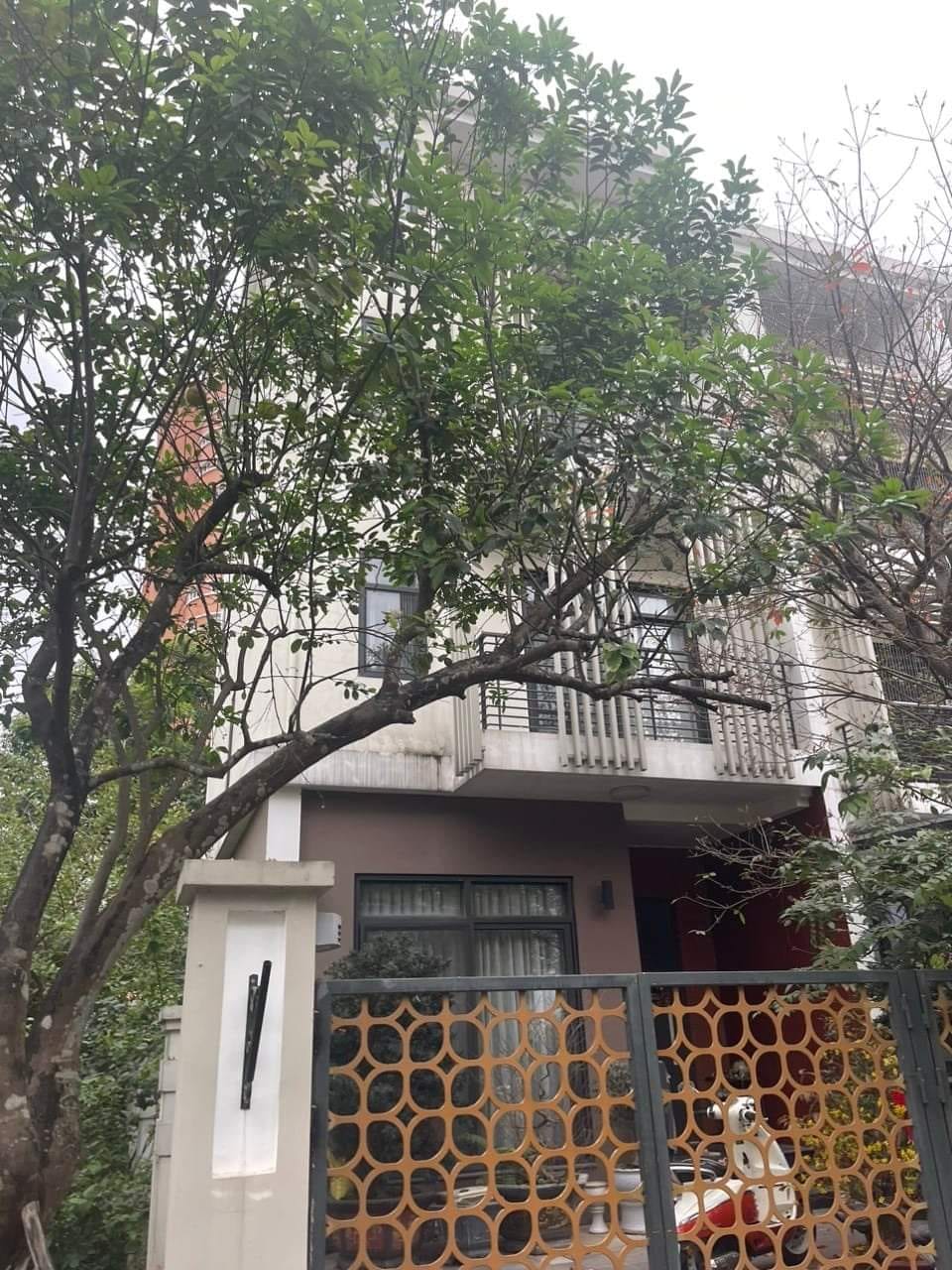 431989441_1564907454330156_3710913304124017750_n