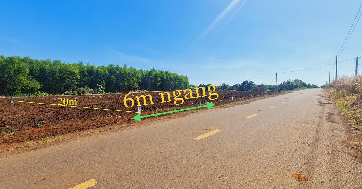 432249260_340663165626240_7243881989906801772_n