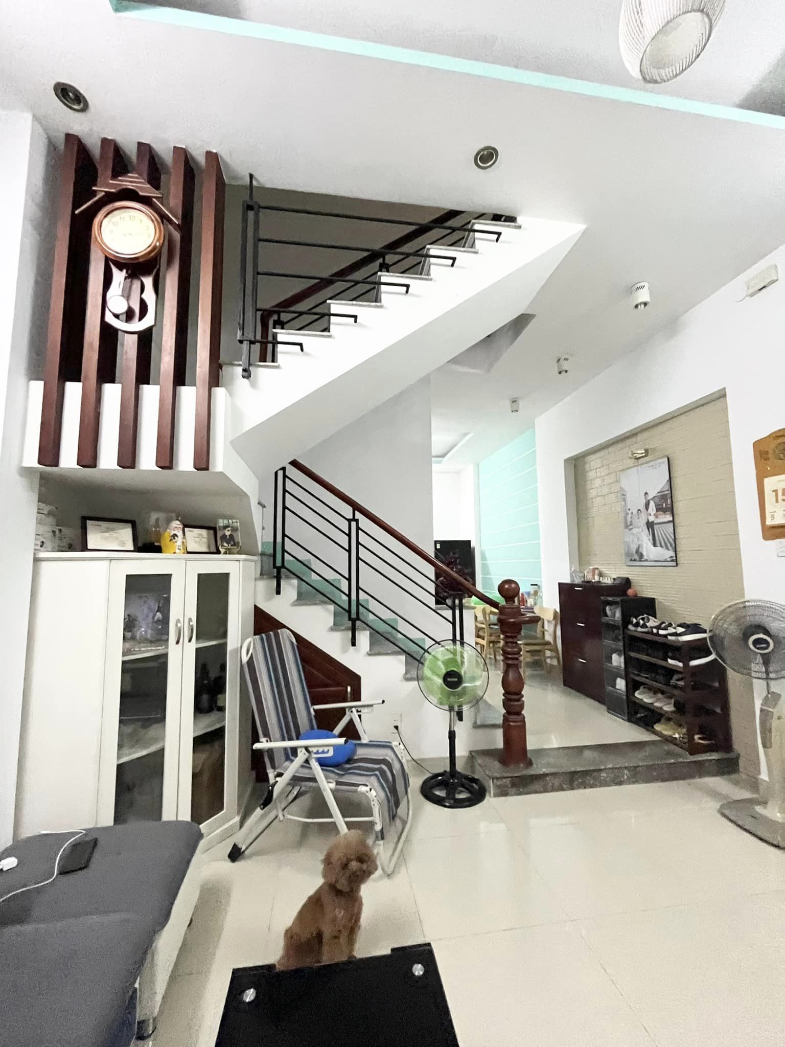 432700294_7273204346102006_3871940616277328623_n