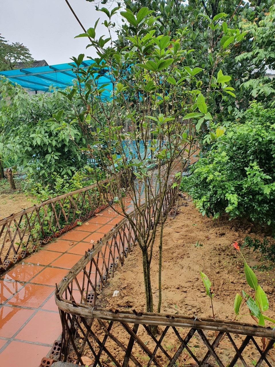 574bfc1a22ba8ee4d7ab3