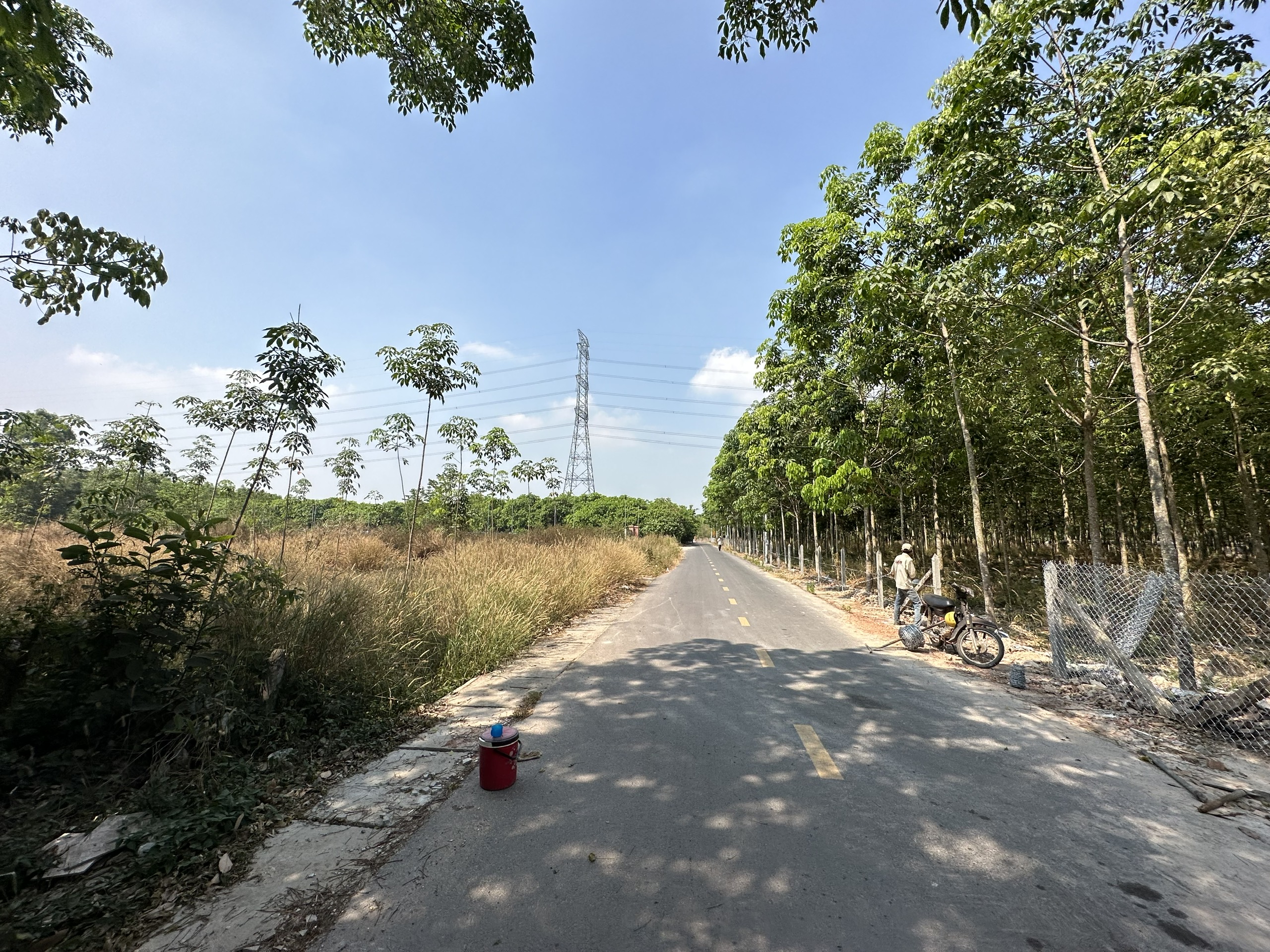 8cac9c0f22f3ffada6e2