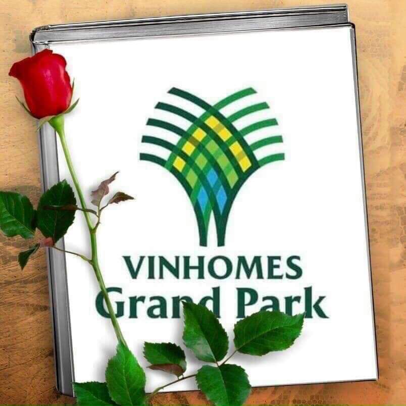 FB_IMG_1670552325670