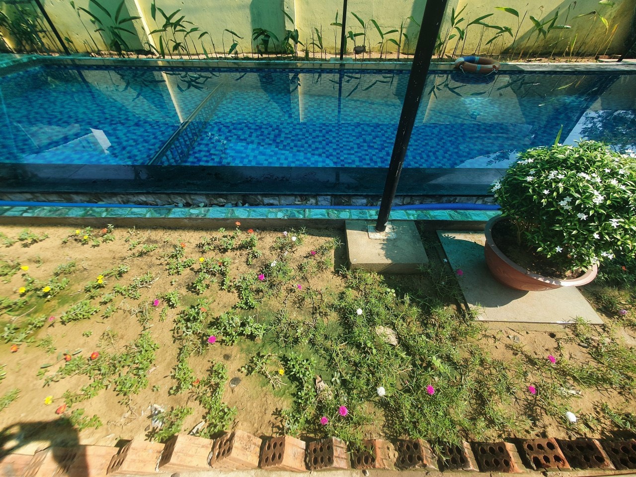 cef3f69d283d8463dd2c4