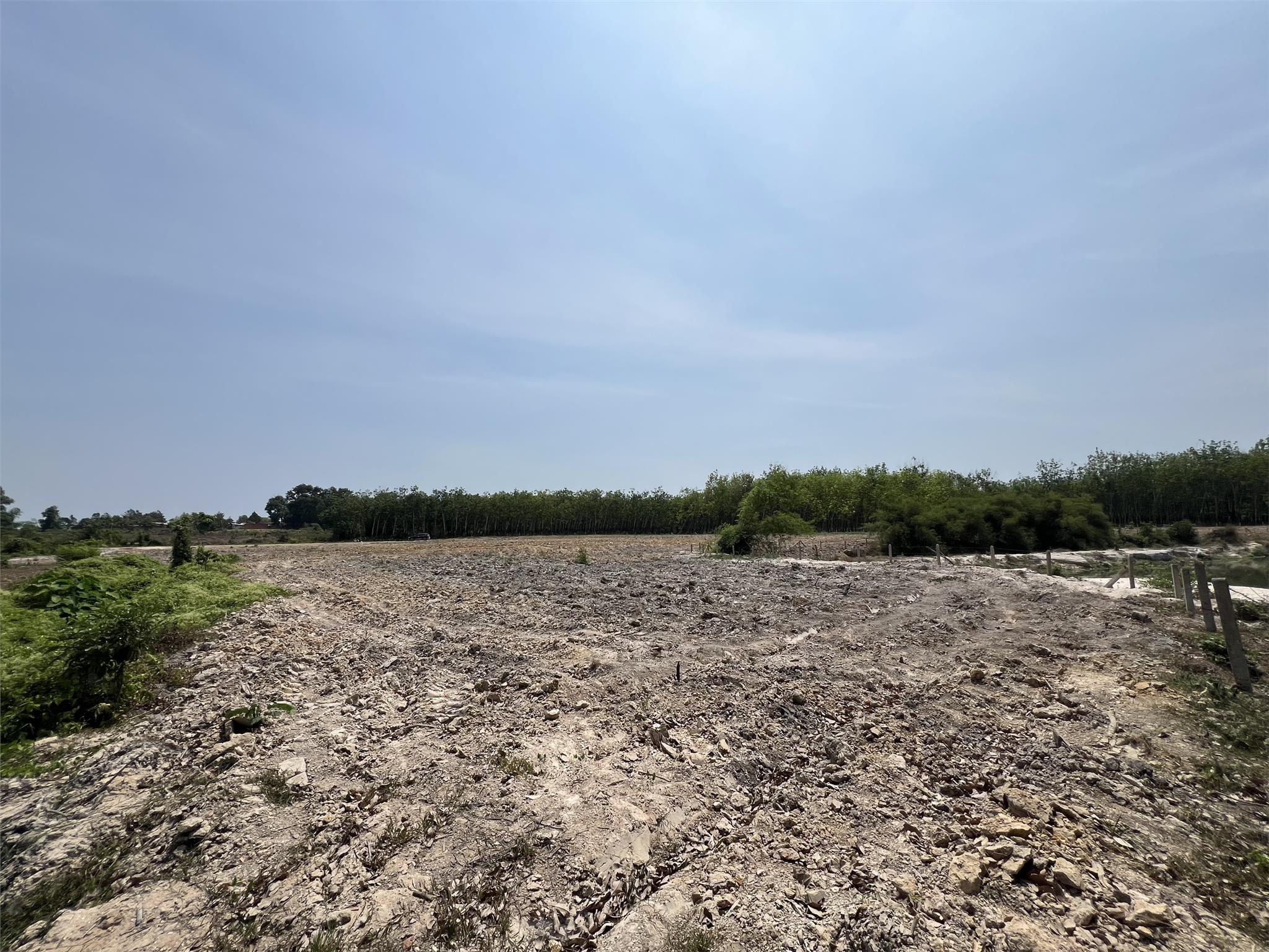 d0a085d343f7eca9b5e6