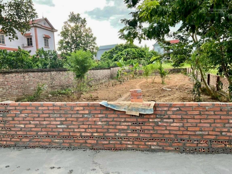 d6e0622addc148a96cf6a2faba6bc446