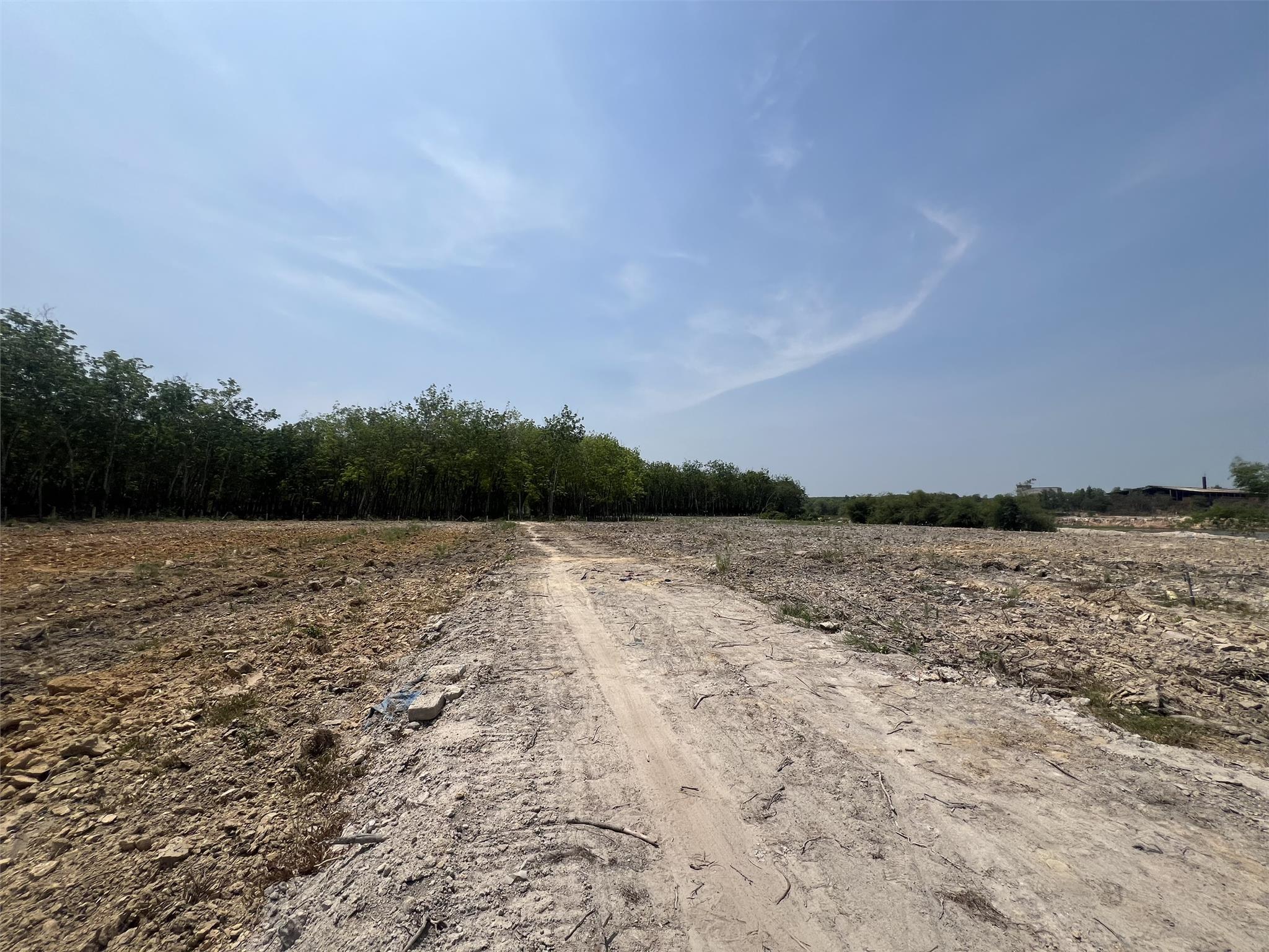 d9f83969fe4d5113085c