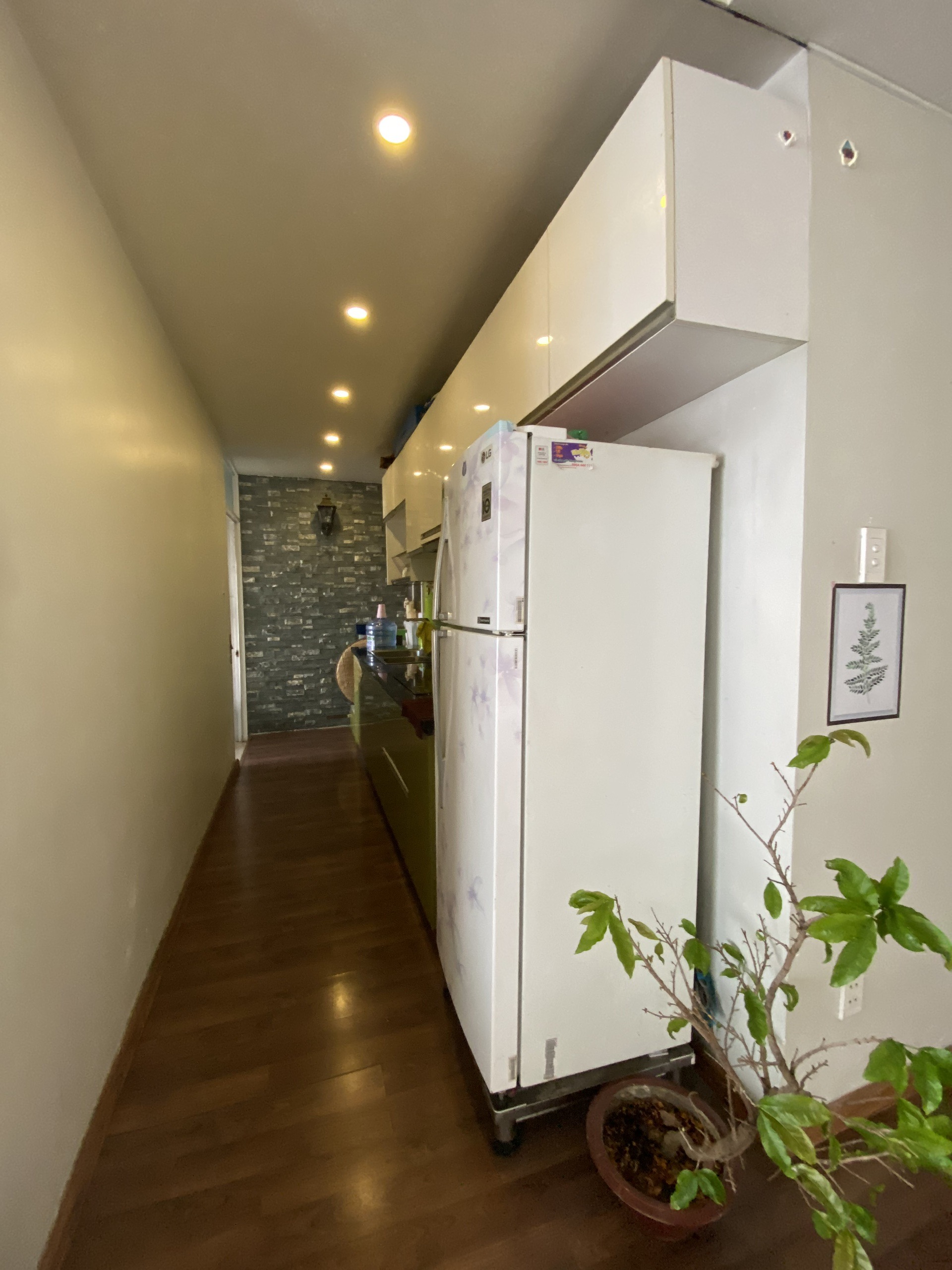 z2446753446853_8f4836b39e2e998f9a265f6f360b1c67