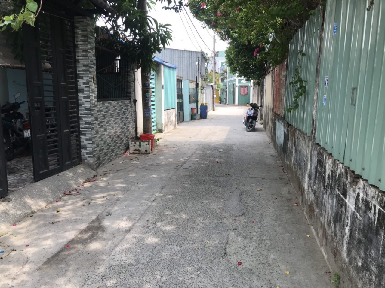 z3124018123455_d41b09b46894ae71e87d4d1c530e0ee6