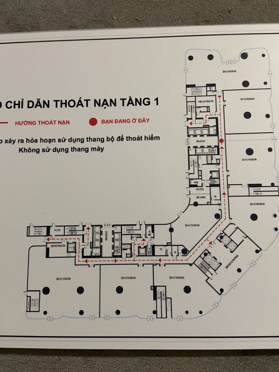 z4879860011221_0fed3e898daa4ef749ff5c8e52b6de0a