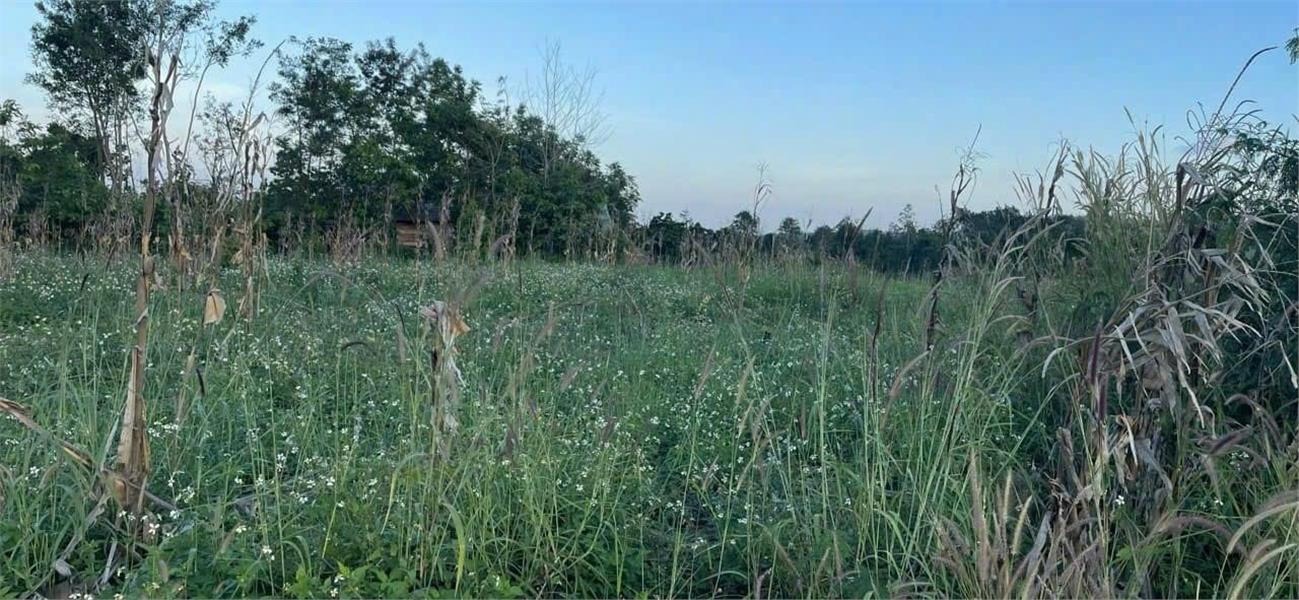 z4958828536194_df4c624cf88d026f7295b3a65ddfec29