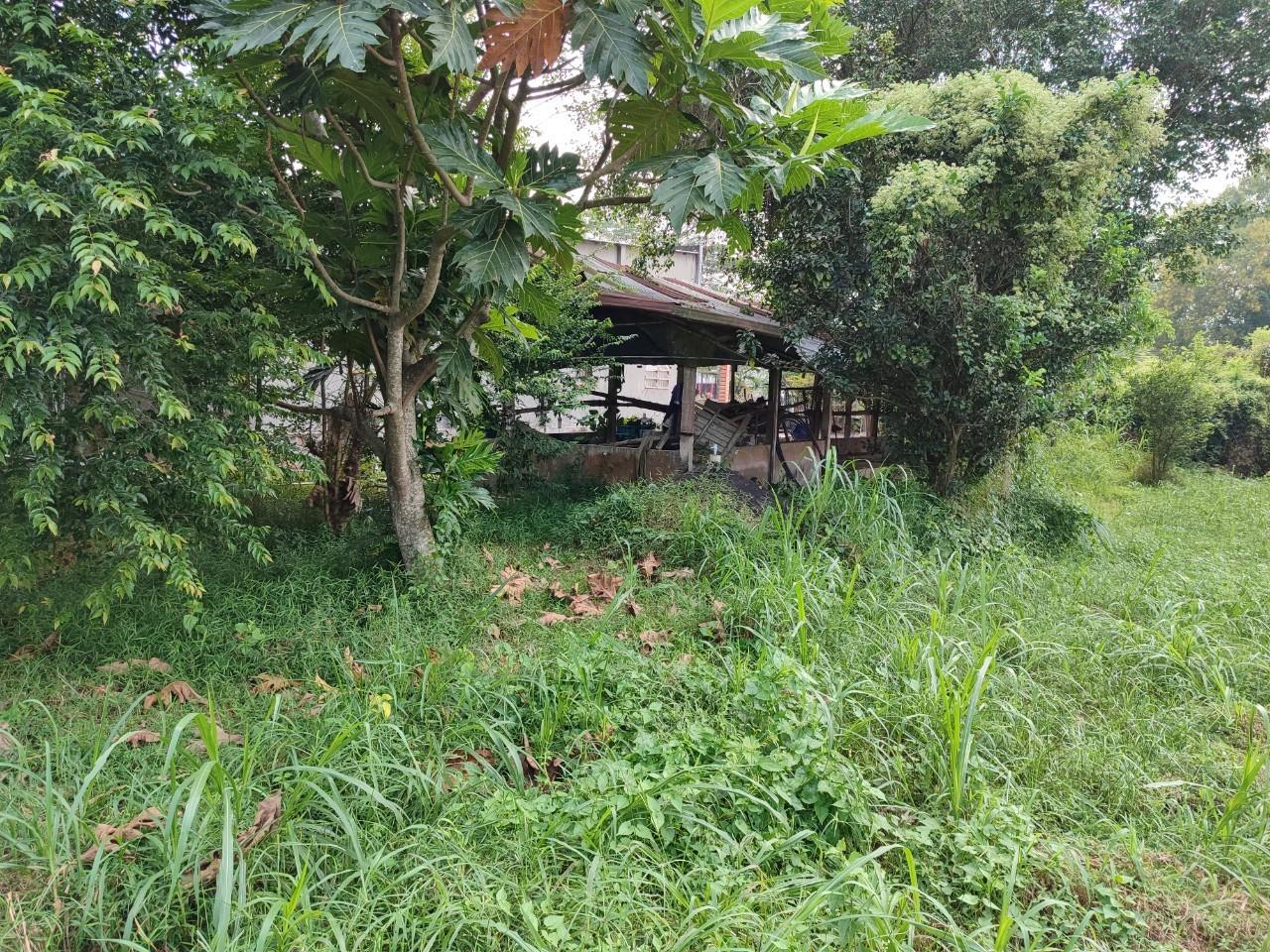 z4965726537361_acbed2a21e240b7ae1163581a50e7269